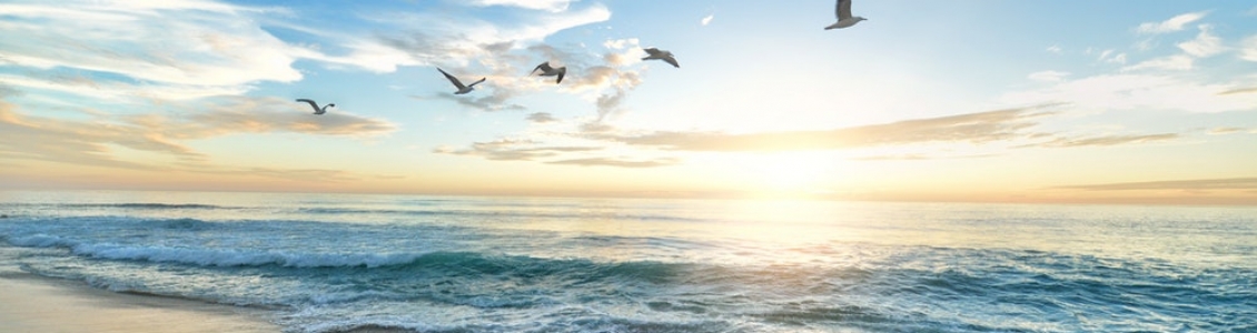 La salutation au soleil, une pratique de Yoga complète